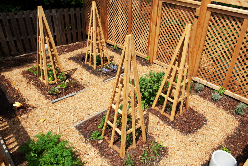 DIY Cedar Garden Obelisk Plans Plans Free