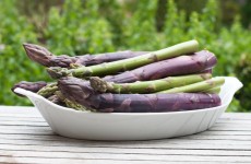 thick-purple-haze-asparagus